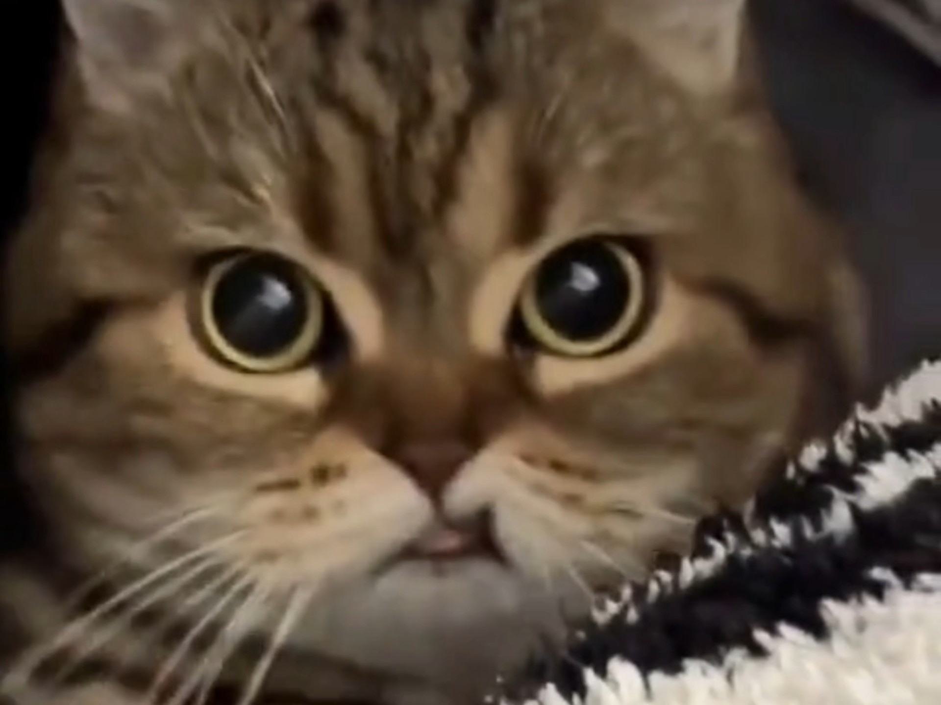 友善提醒：高血压者勿入