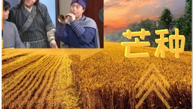 会宁小曲唢呐曲谱_唢呐图片