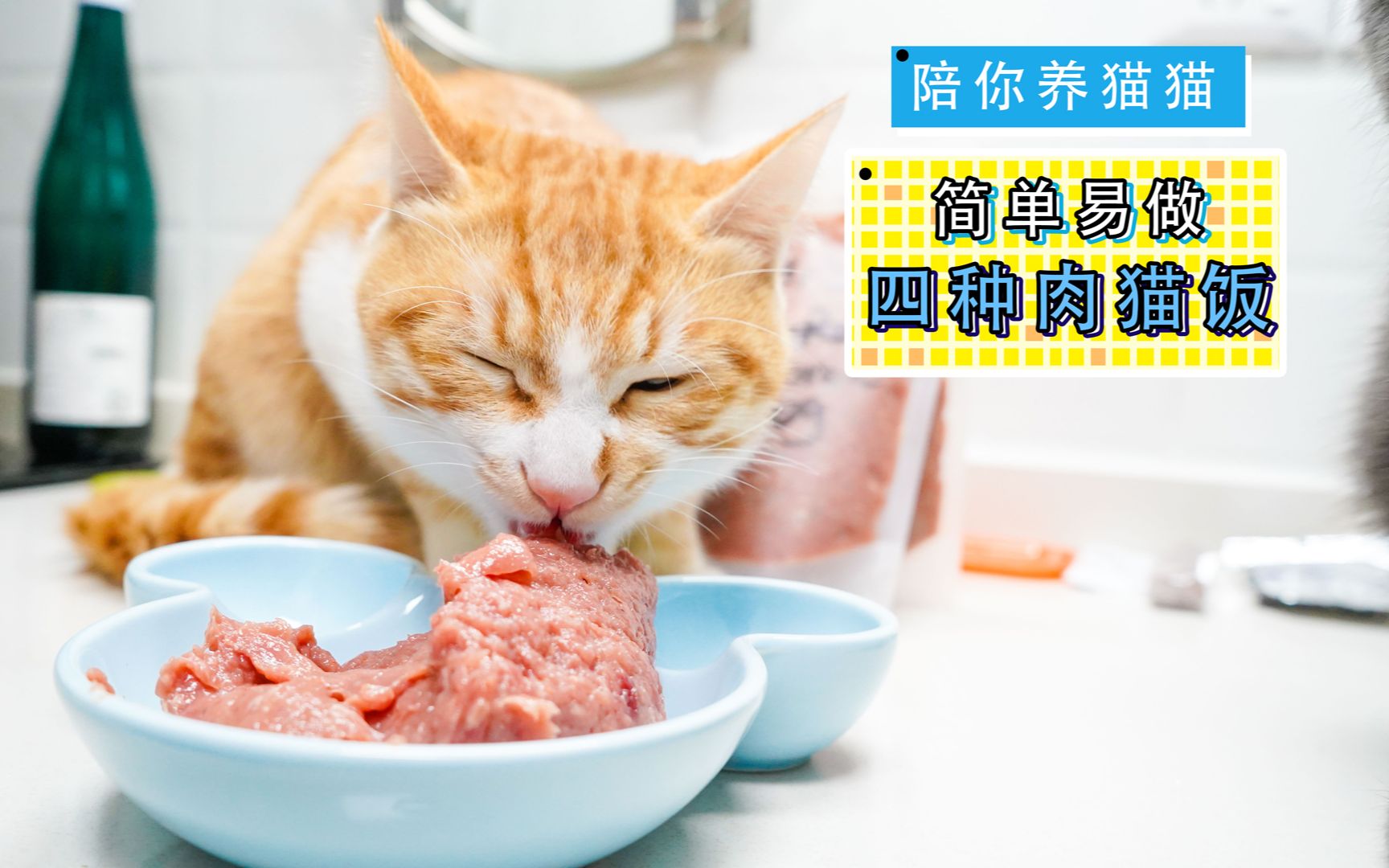 教你做最简单的猫饭 - 知乎