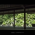 【油管转载】让人安静又放松的日本庭院大赏
