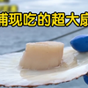 日本捕捞超大扇贝，3只一斤，一只仅5.7元！你会买吗