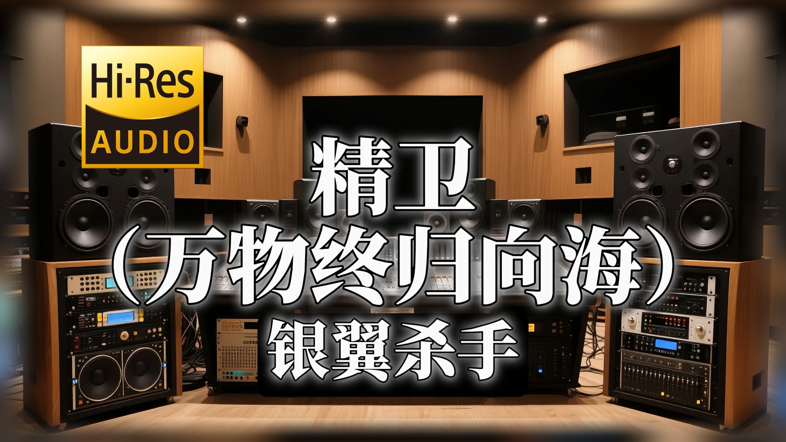 【𝐇𝐢-𝐑𝐞𝐬无损音质】｜《精卫（万物终归向海）》- 银翼杀手 -‘万物终归向海 何必衔木石来’