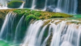 任妙音的感恩歌曲谱_任妙音高清手机壁纸