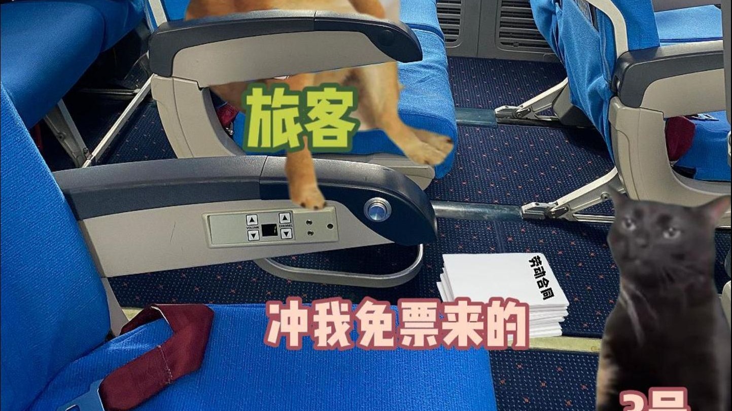 坏了！冲我免票来的
