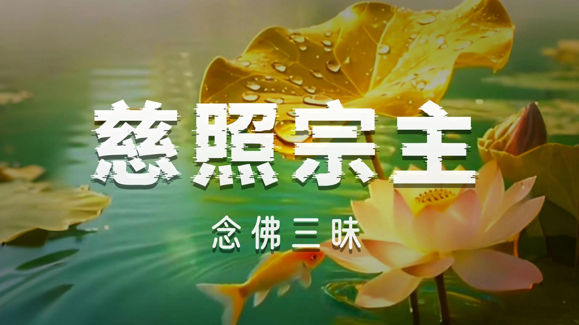 体佛法师开示：慈照宗主