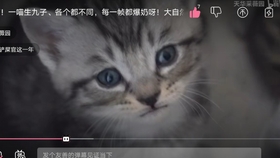 怎么看小猫是否快生了 e220cc61a2c2edde422425972bcac8813e9b168c.jpg@280w_158h_1c_100q.jpg