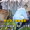 樊小慧下跪被曝光，千万网红人设崩塌，网友：出乎意料