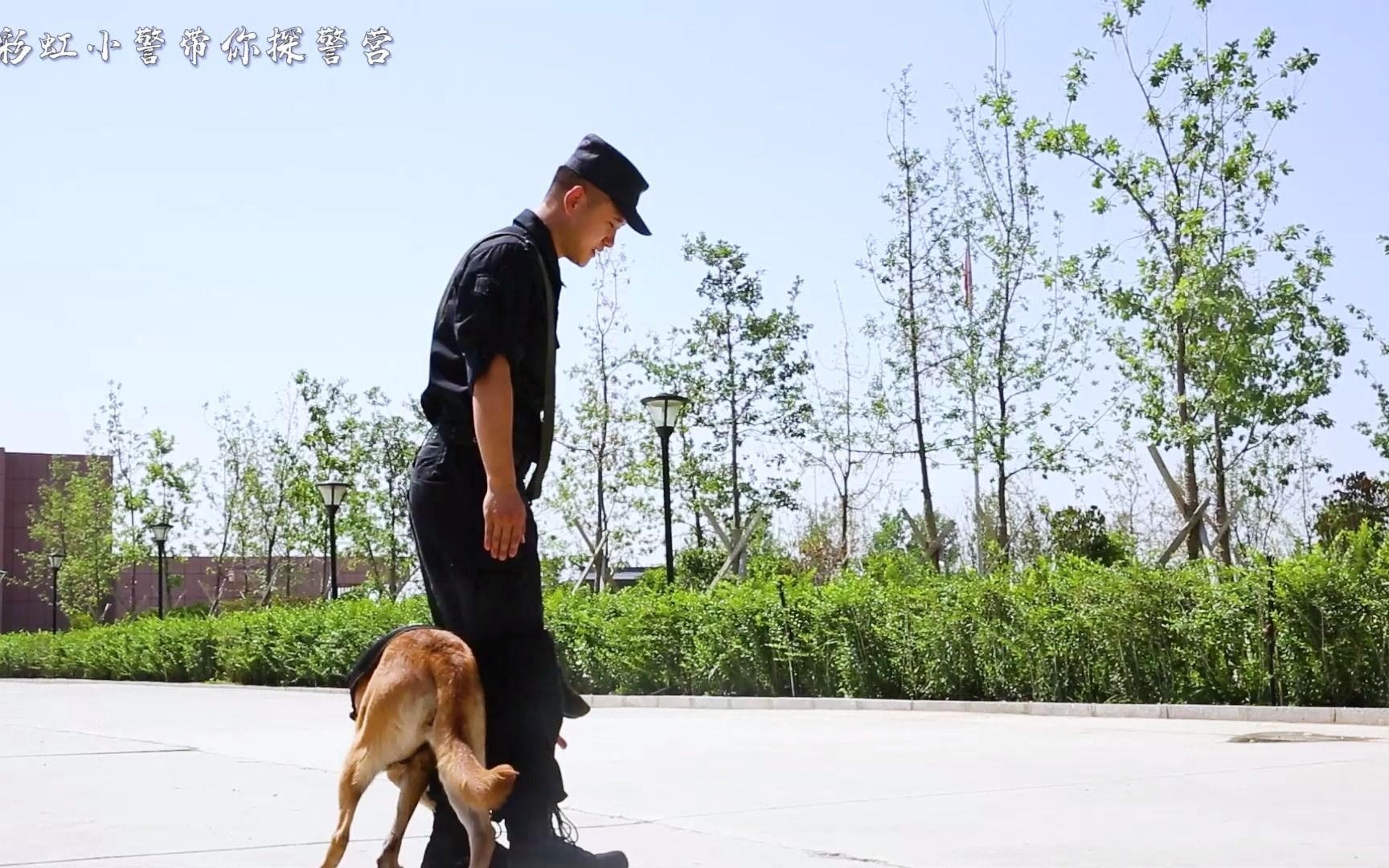 警犬+无人机 会擦出什么火花？