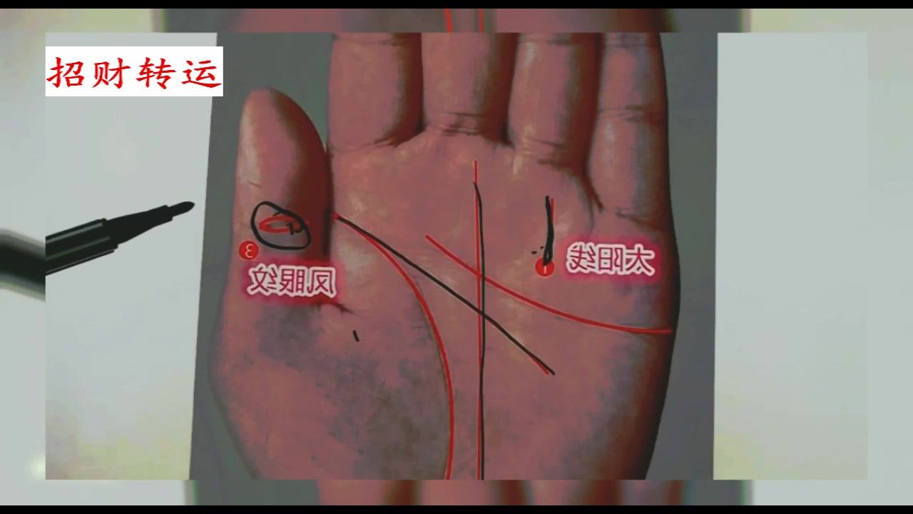 吉瑞大师 命运线图解,手相有此特征的人最好命,一生有福气!