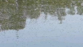 e24f1f529f16af9bc7803c4643fc2ccb47fa4515.jpg@280w_158h_1c_100q.jpg