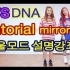 【防弹少年团】BTS-DNA 镜面教学+cover