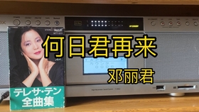 天涯歌女笛子曲谱_天涯歌女古筝曲谱(5)