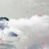 中国风荷花花瓣下雨天水墨背景视频素材