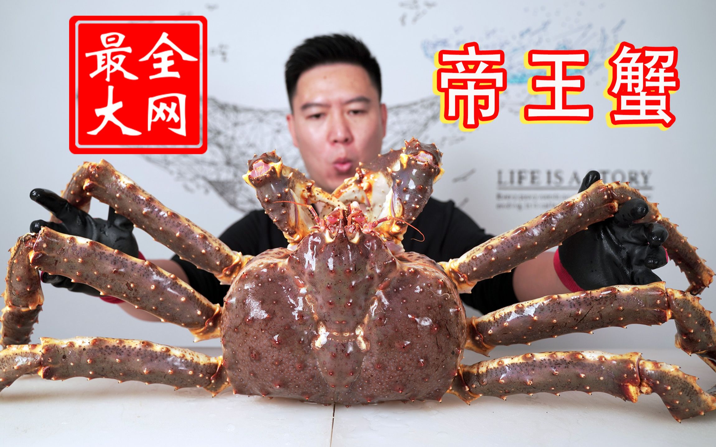 15斤重全网最大帝王蟹，可遇不可求，吃一根腿就饱了
