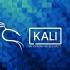【白嫖】室友用29800买的Kali Linux渗透测试实战级教程！（400集持续更新中）