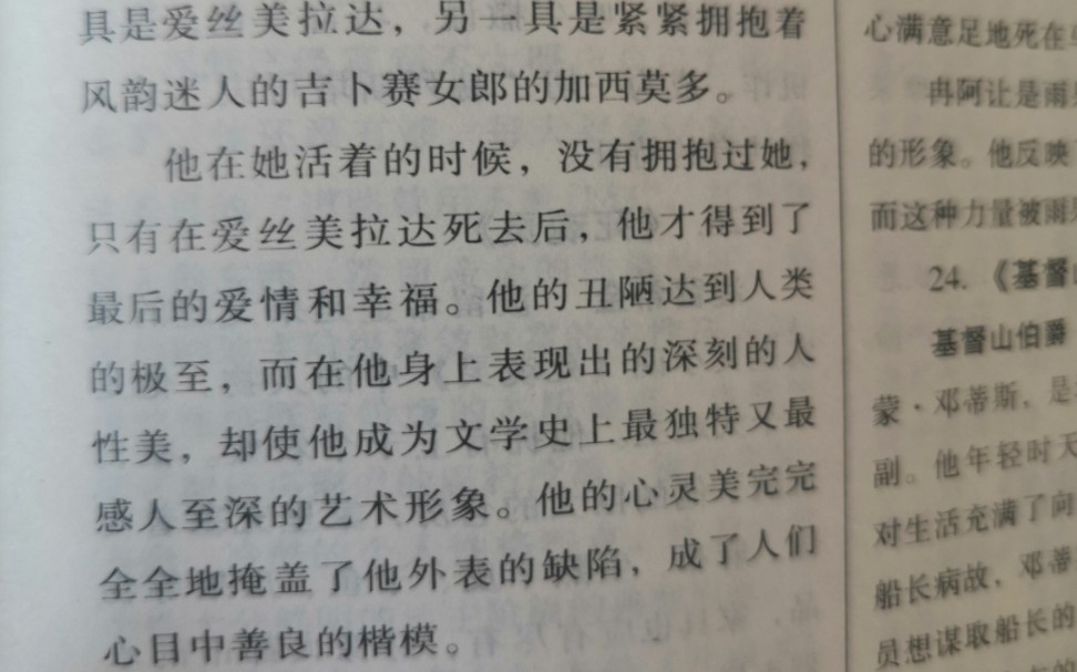 巴黎圣母院人物介绍封面是没念完的最后一段嘻嘻