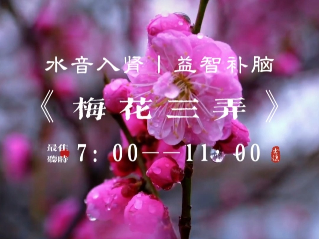 『五音疗疾』水音入肾，宁心净脑，增强记忆，缓解疲劳，释放恐惧，降火去燥，经常熬夜，易疲劳，腰膝酸软，四肢无力，黑眼圈，白发耳鸣等可多听用《梅花三弄》