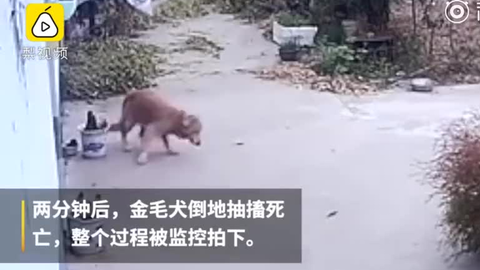 e2a5055c53b530c10b7239a123e8b080ae18c0d7.png@480w_270h_1c
