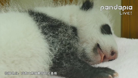 e2c49edf39b1f75eac5934e12490f9a7522709f3.png@280w_158h_1c_100q.jpg