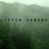 【小森林】夏 / Little forest Summer 混剪
