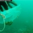 法国非盈利环保组织公布的一段视频，海里废弃的一次性口罩和乳胶手套等垃圾比水母还多……