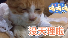e2fdf9d8aacce6b36e364f401ca5a0e1e247a253.jpg@280w_158h_1c_100q.jpg