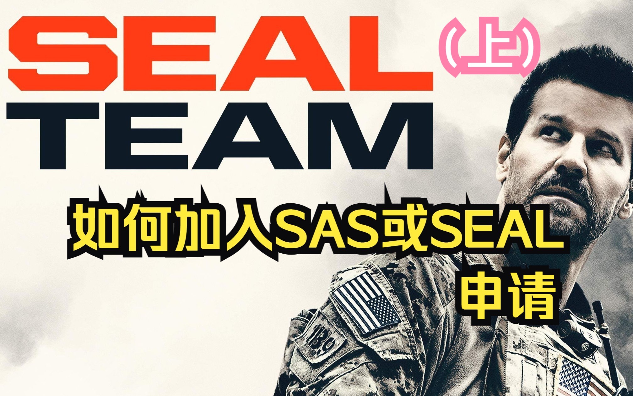 如何加入SAS或SEAL(上)哔哩哔哩bilibili