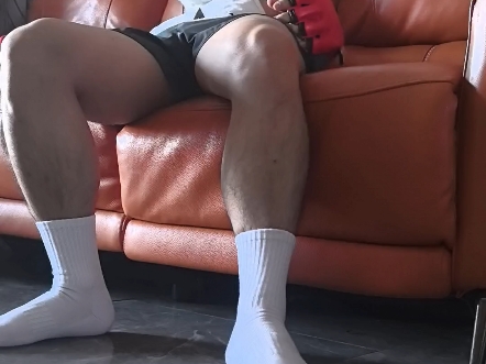 小狗视角的我是什么样的呢