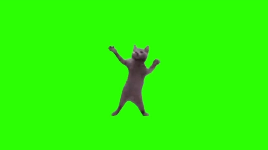 【猫meme】绿幕素材跳舞黑猫