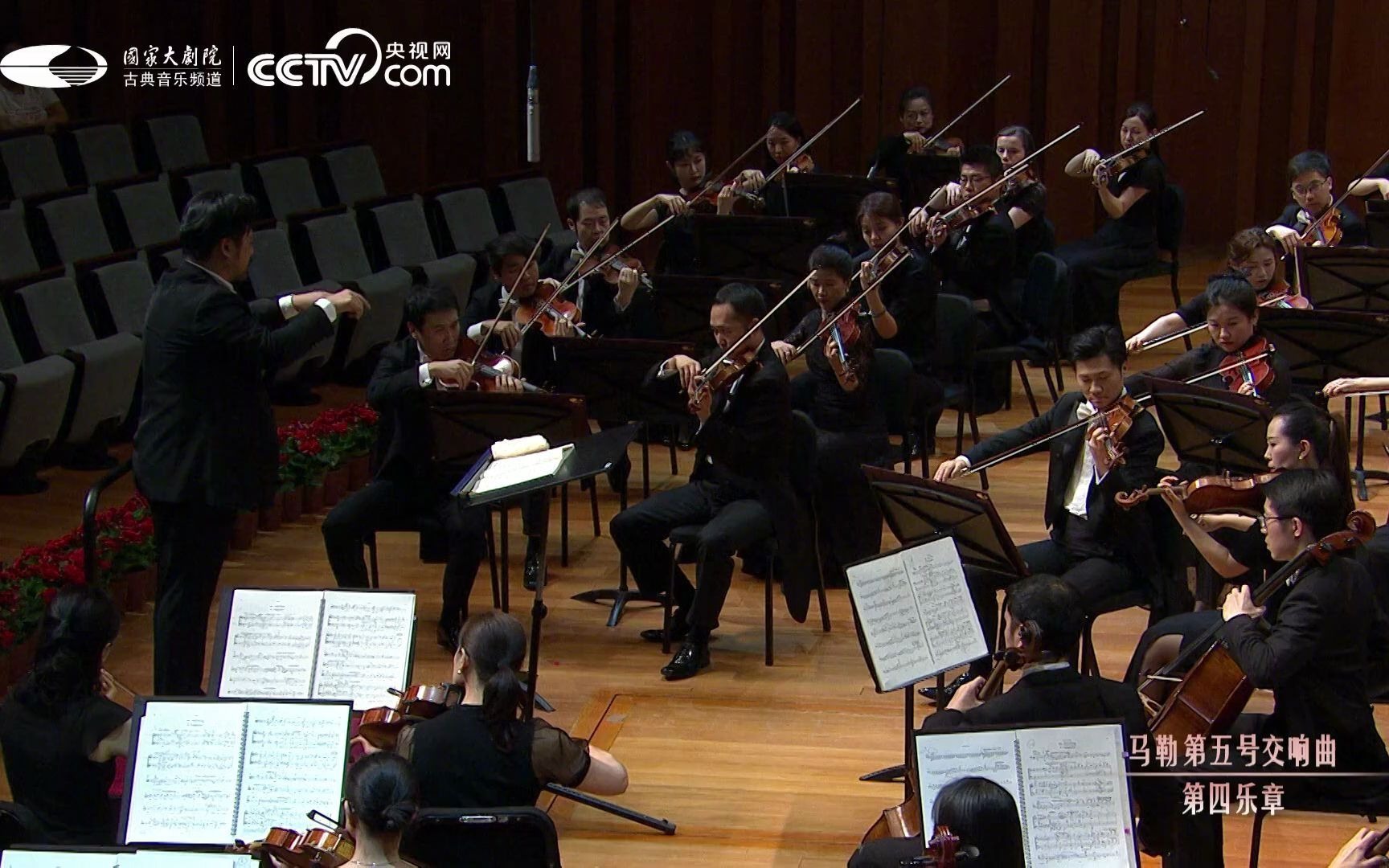 【最浪漫的“音乐情书”】马勒《第五交响曲》第四乐章“小柔板”