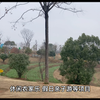 洞庭湖小镇