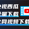 全网最强视频下载器CR TubeGet 抖音 快手 央视 西瓜 视频批量下载