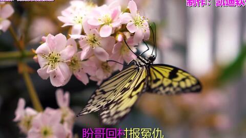 歌曲大全100首流行歌曲免费听,歌曲大全100首流行歌曲免费听经典老歌