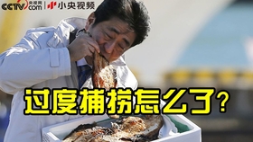 e37ca5c825d2927883597aae17c99b1c1658f91e.jpg@280w_158h_1c_100q.jpg