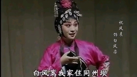 山东梆子曲谱_山东梆子(3)