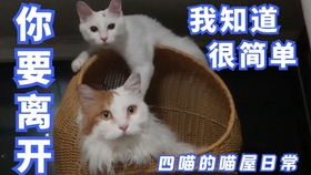 e389daef30accda098eff2b7432a3ba1f460afcf.jpg@280w_158h_1c_100q.jpg