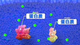e3a7703a3c932ec420b7dcae0e1a74ebde3899d7.png@280w_158h_1c_100q.jpg