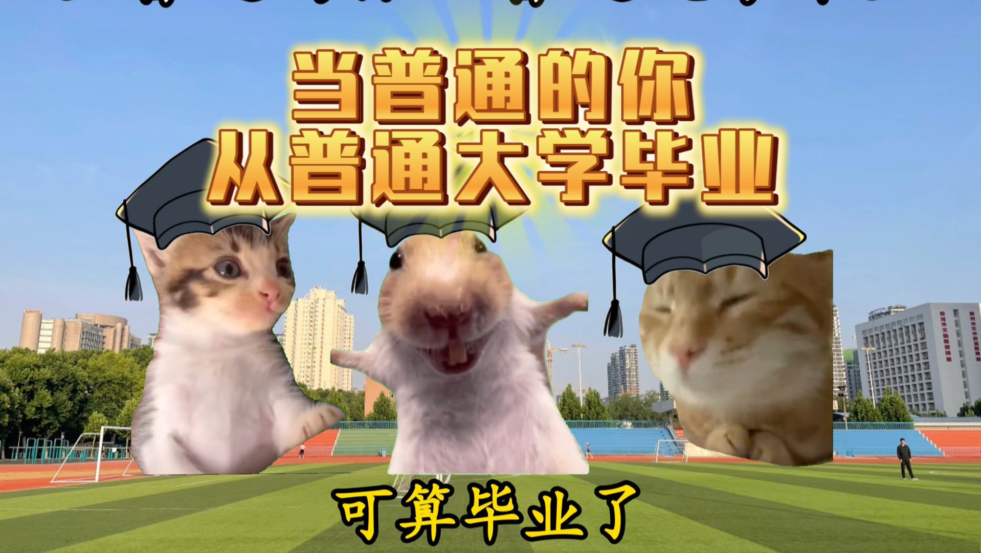 当普通的你从普通大学毕业