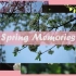 【VLOG】冬去春来|春暖花开|spring  memories|春日vlog挑战