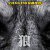 狼，这种动物应该用来唾弃还是赞颂？！汪峰《沧浪之歌》Song of Redemption，《狼图腾》歌曲