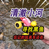 清澈见底的小河里，寻找昨天没抓到的黑鱼苗，被遗忘的玩具车还在