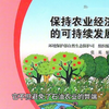 什么是生态农业