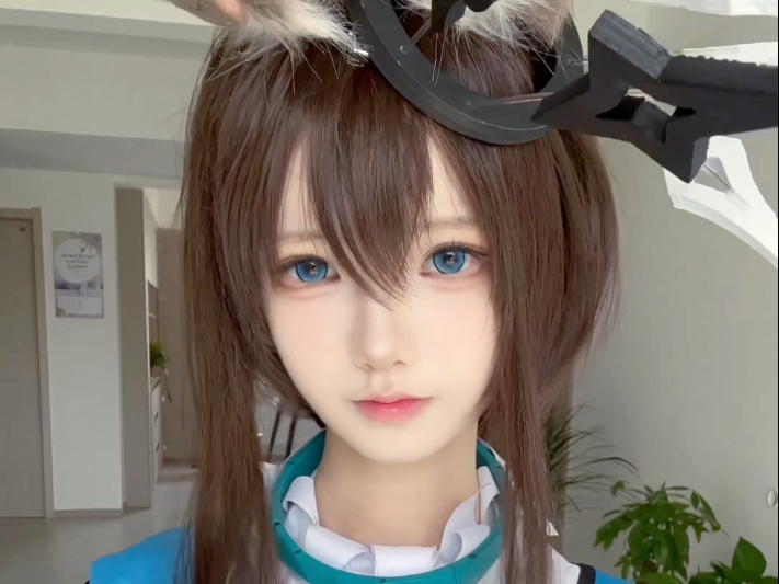 给博士的保证书