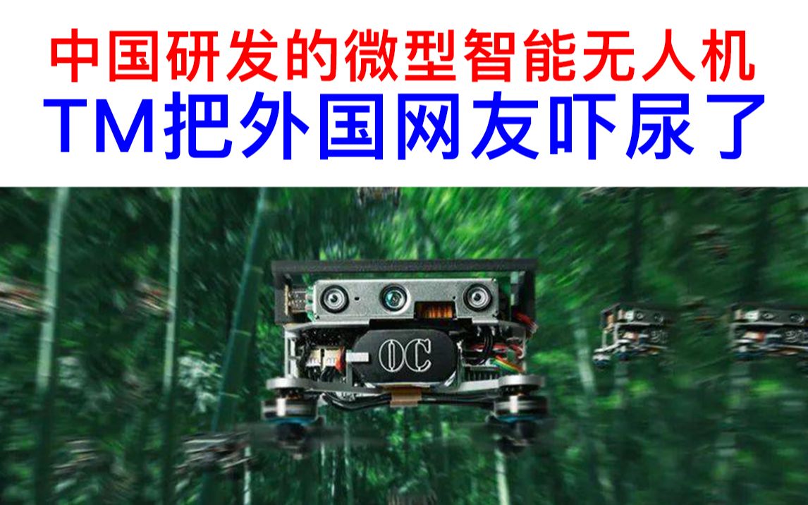 中国研发的微型智能无人机，TM把外国网友吓尿了