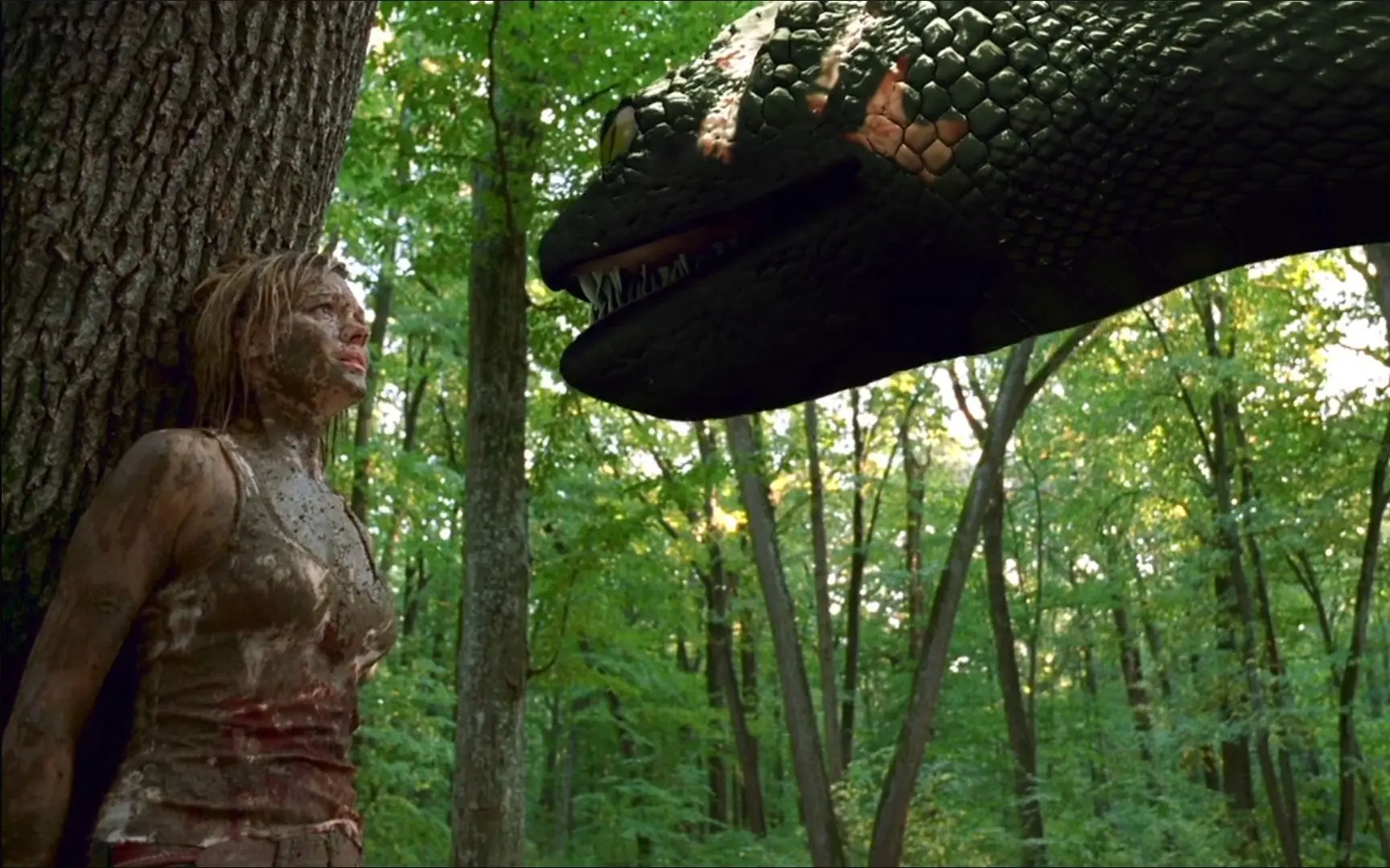 巨蟒之梦，深邃心灵的探索与解读