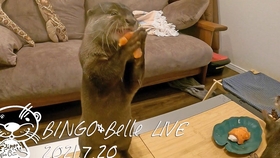 e403a50048514d0654b4932894dce52656cd39ad.jpg@280w_158h_1c_100q.jpg