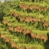 Minecraft 1.18版本 很好看很适合生存党的 32x中高端材质与光影分享