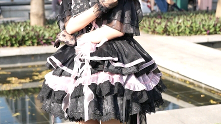 Photographer Only Love】-CPSP Pride Missy Lace Lolita Dress Black Rose