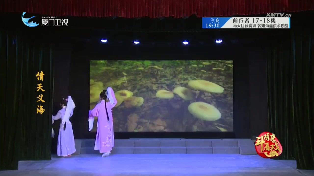 情天义海 斗阵来看戏