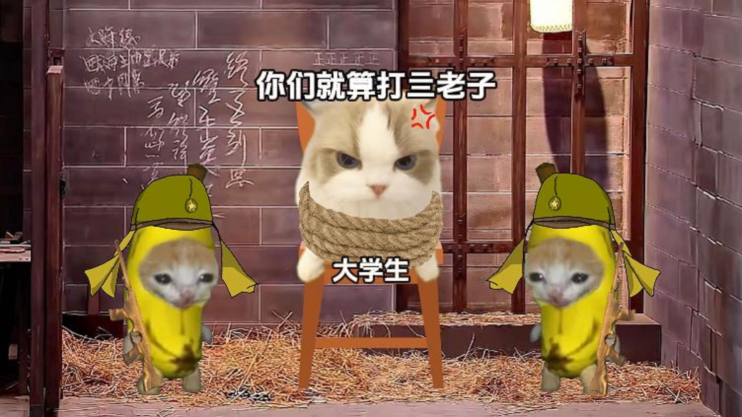 当大学生去当群演